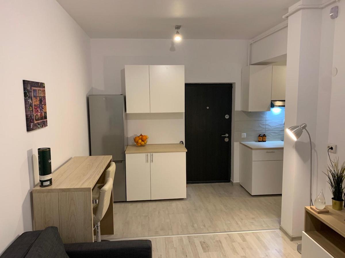Ray Luxury Apartment Close To Presidential Palace บูคาเรสต์ ภายนอก รูปภาพ